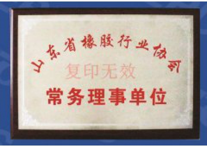 山东省橡胶协会常务理事
