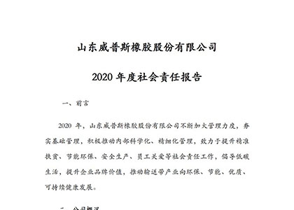 2020年度社会责任报告